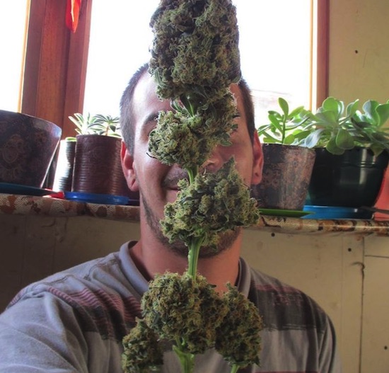 Cannabis, Argentina