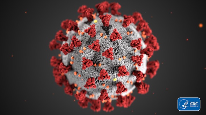 Coronavirus, Vacuna gratuita para el coronavirus, Pandemia