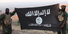 ISIS, militantes