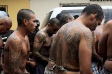 Mara Salvatrucha, MS-13