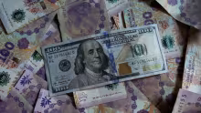Dolarización, Argentina, James M. Roberts
