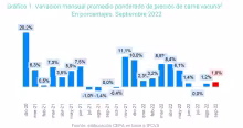 Gráfico CEPA, Precios de la carne